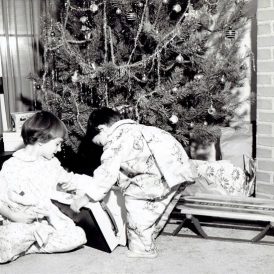 Oyster Stew for Christmas Image